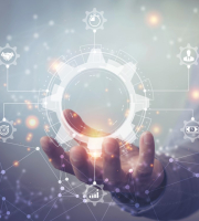 Types of governance for the use of RPA and Low-Code